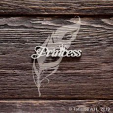 Надпись Princess из зеркального пластика (серебро) от Artlines, PL015