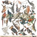 Лист Птицы "Самая нужная" CraftPaper (mh100-01)