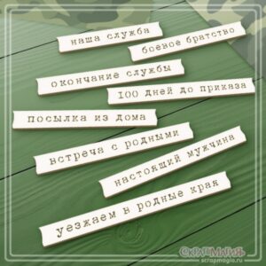 Чипборд "Надписи для дембельского альбома 3" 8 эл. Скрап Магия (ЧБ-2103)