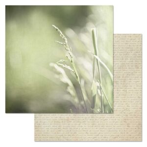 Бумага для скрапбукинга "Родная. Колосок" (ScrapMania), артикул 242271