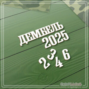 Набор чипборда "Дембель 2025, 2,3,4,6" ЧБ-4208 ScrapMagia для скрапбукинга