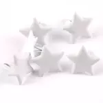 Брадс звездочка белая, 1 шт.